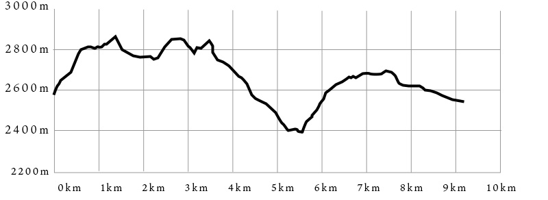 2日目のコースの距離と高さのグラフ