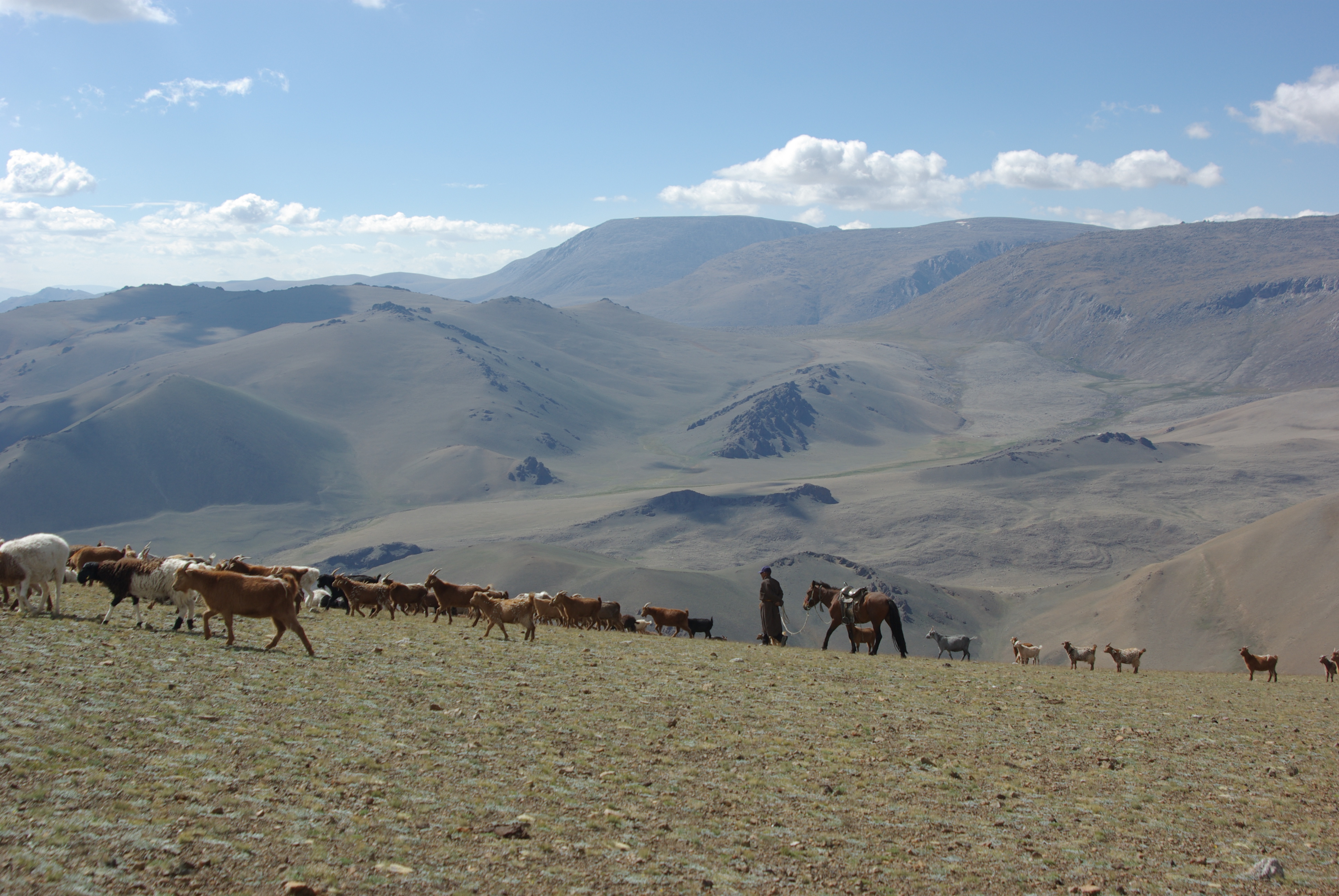 アルタイ山脈のモンゴル牧畜民：山に生きる、山を感じる、山に呼びかける