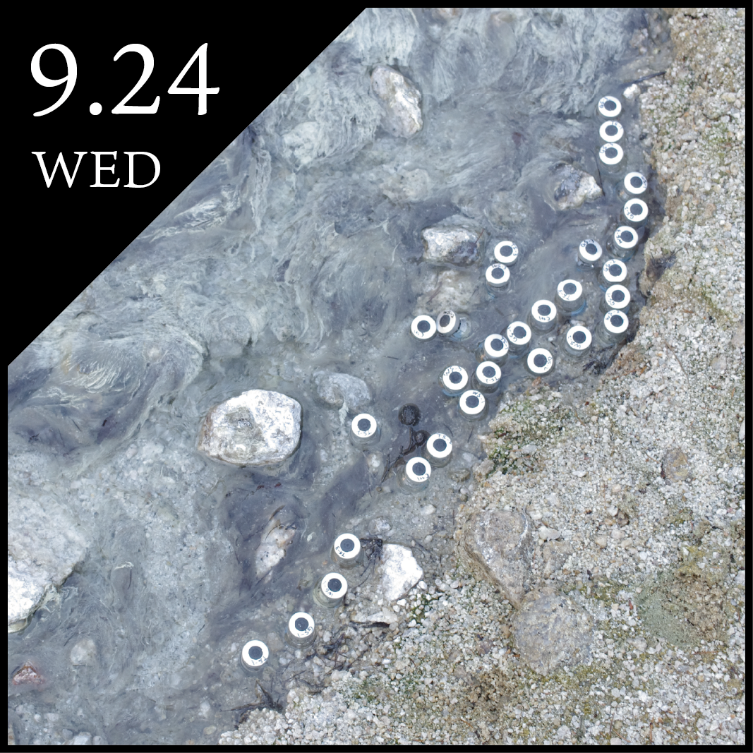 温泉で生命の進化を探る