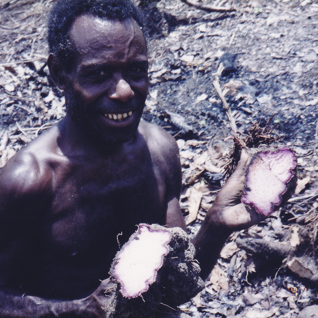 ヤムイモの探索 in パプアニューギニア